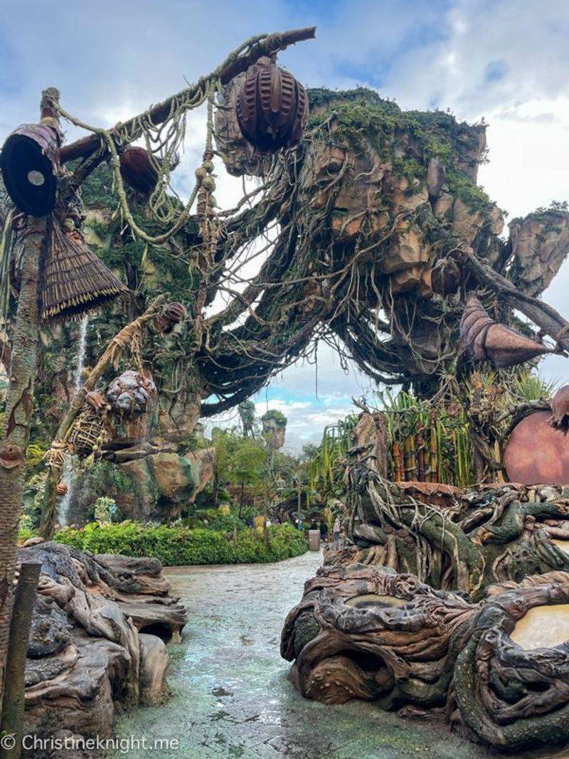 Disney's Animal Kingdom