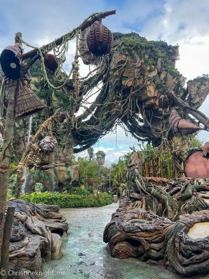 Disney's Animal Kingdom
