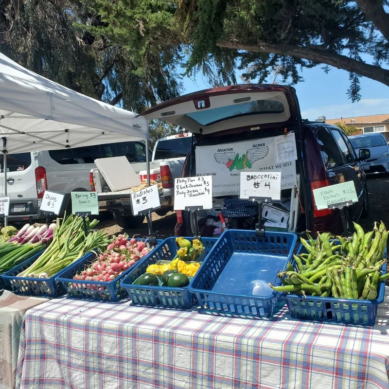 Edible Plants at the Baywood Farmers Market