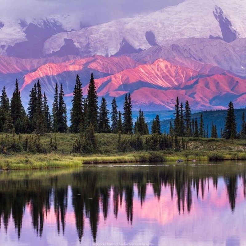 Denali National Park, Alaska