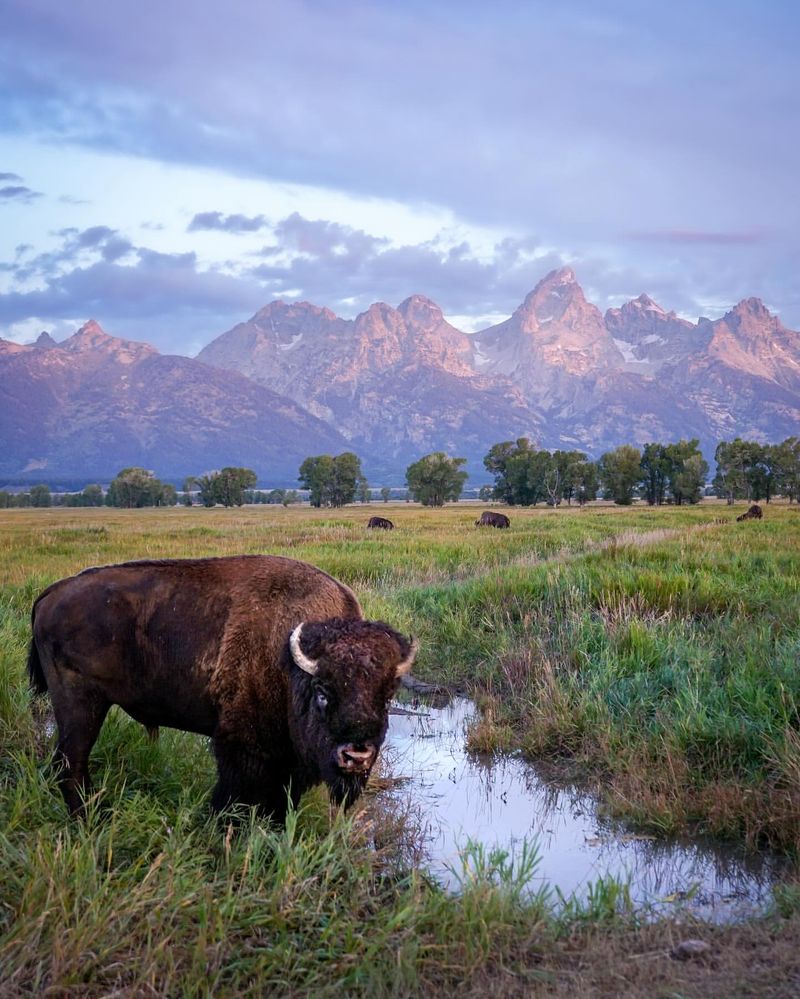 Grand Teton National Park (Wyoming)