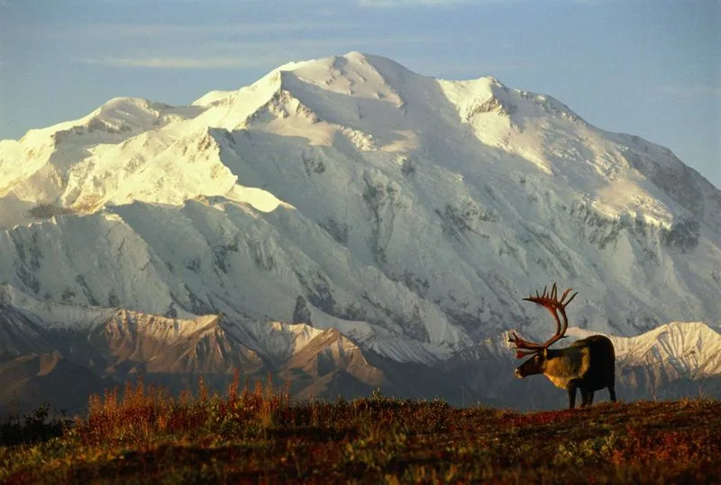 Denali National Park (Alaska)