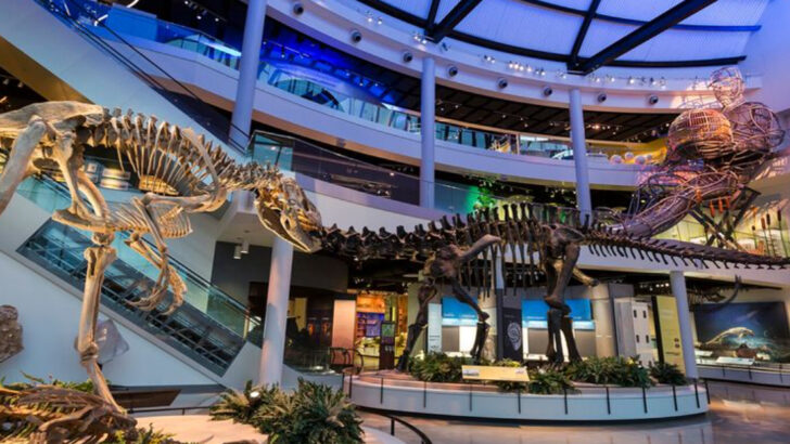 Experience The Best Family Fun At These 16 Top Tennessee Attractions