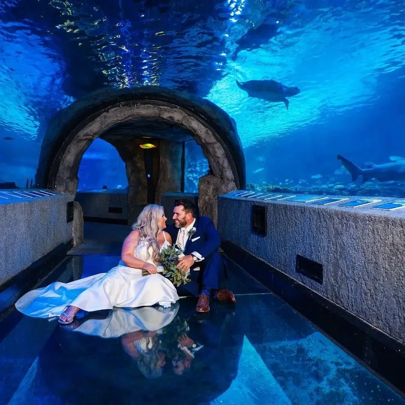 Newport Aquarium (Newport)