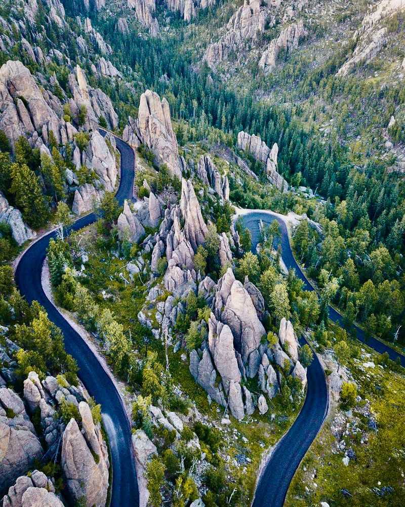 Tour the Beautiful Needles Highway