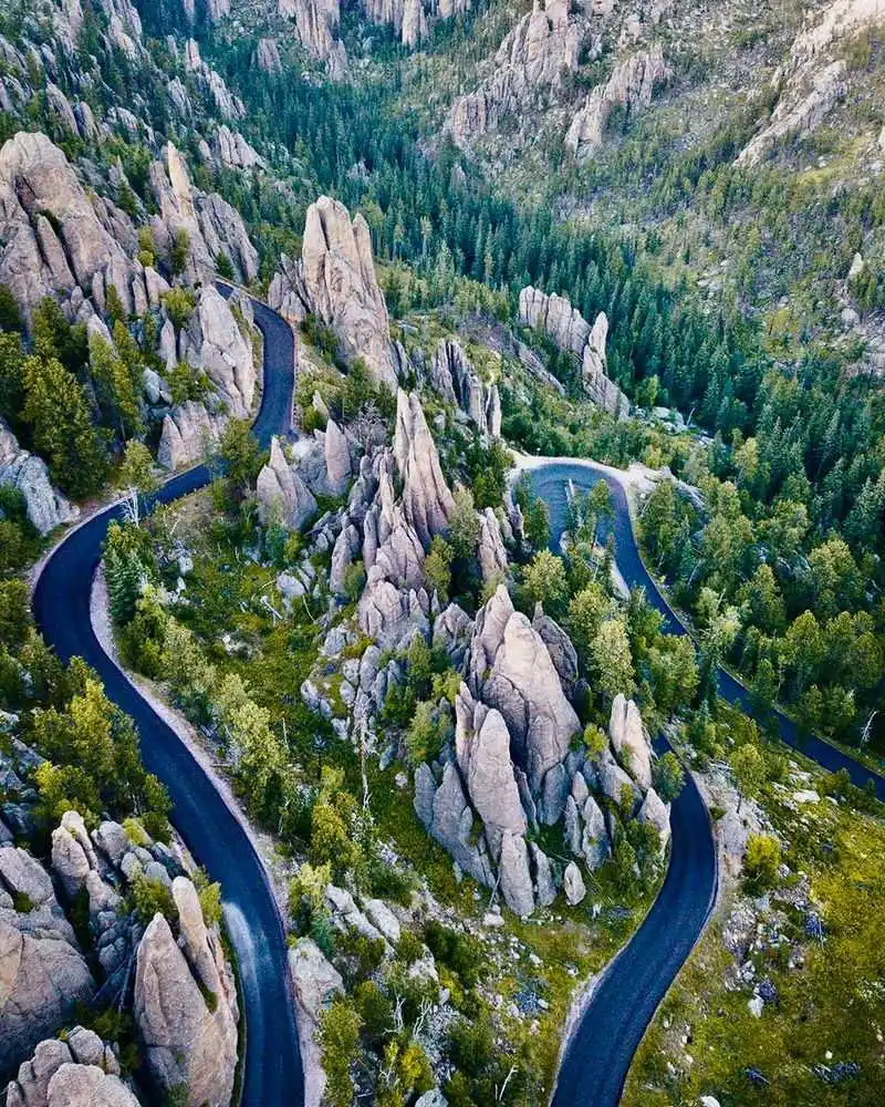 Tour the Beautiful Needles Highway