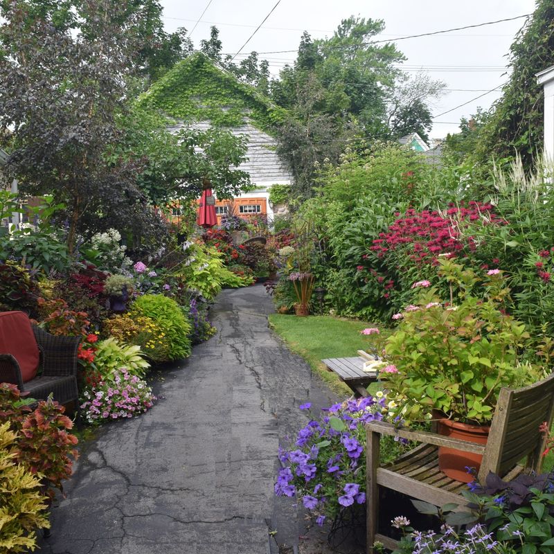 Join a Plant Workshop at Nehrling Gardens