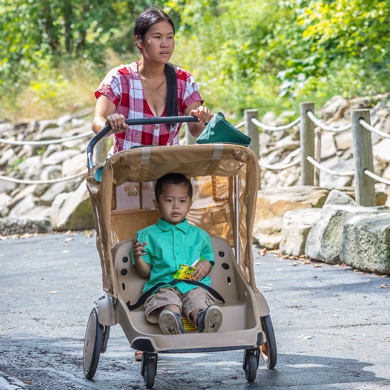 Rent Strollers On-Site