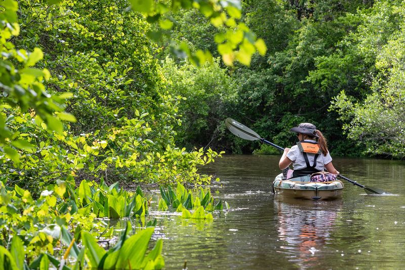 Rent a canoe and float down Bear Creek
