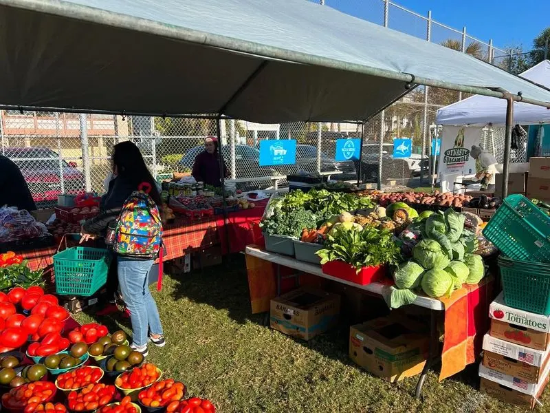 Sample Local Treats at Anna Maria Island Farmers Market