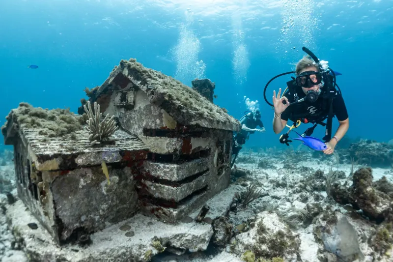 Snorkeling in the Underwater Museum