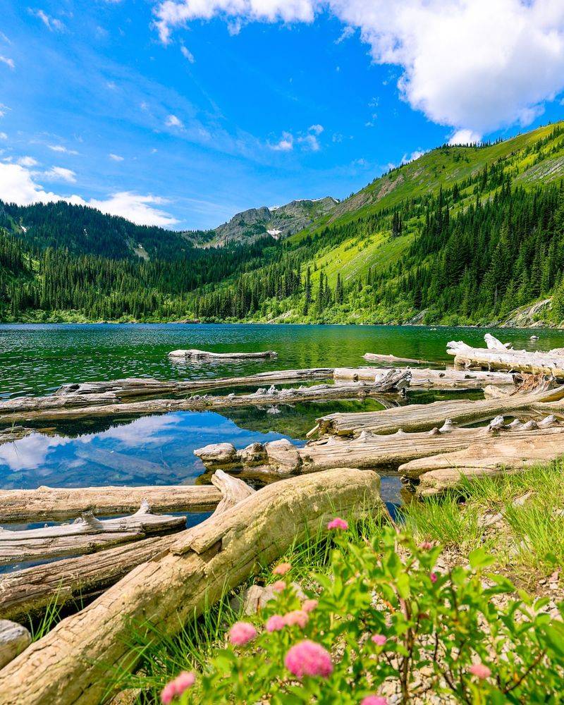 Hiking in the Pacific Northwest’s Olympic National Park