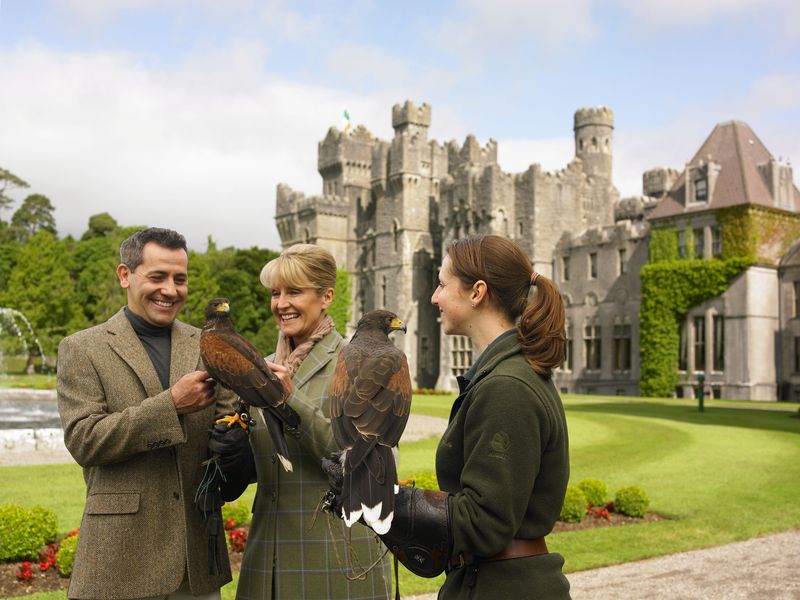 Meeting Birds of Prey at Falconry Experiences