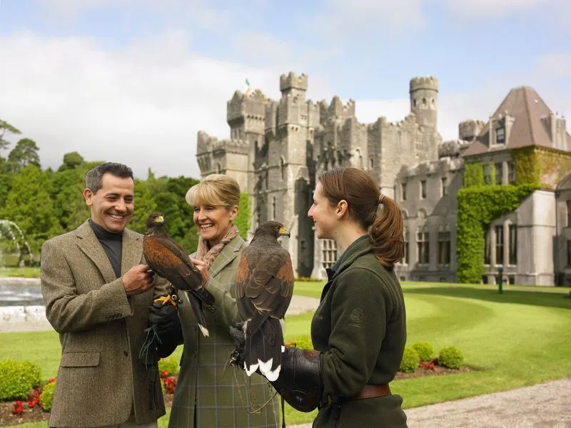 Meeting Birds of Prey at Falconry Experiences