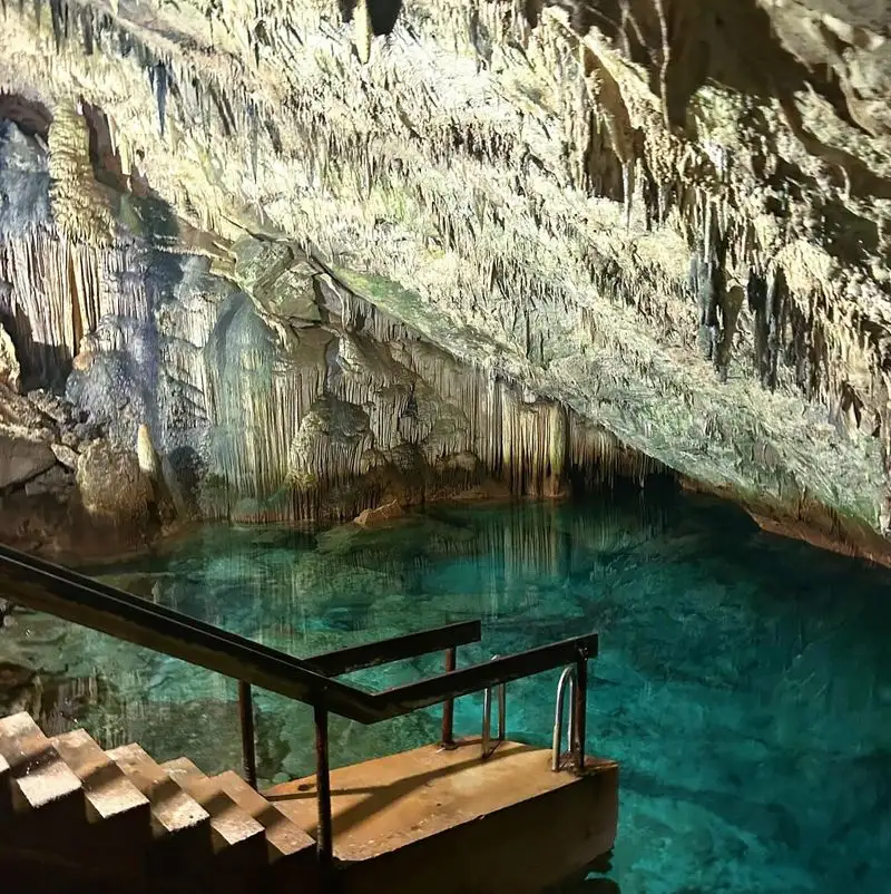 Cooling Off Near Fern-Filled Grottos at Crystal Cave