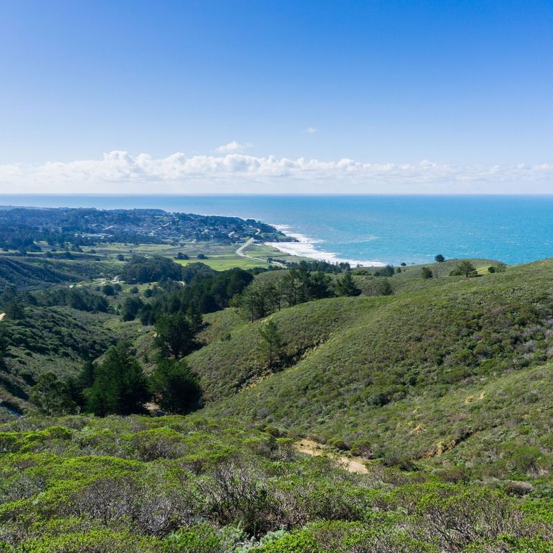 Hiking the Coastal Bluff Trail at Pillar Point