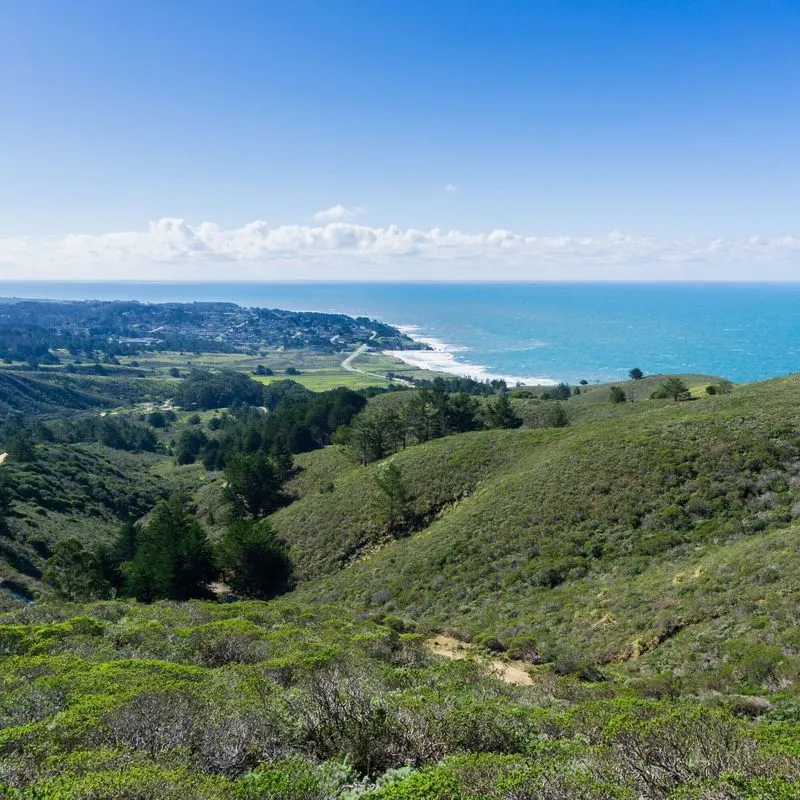 Hiking the Coastal Bluff Trail at Pillar Point