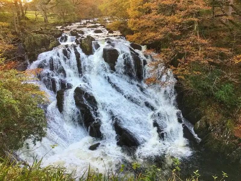 Swallow Falls