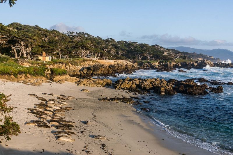 Cypress Point Lookout