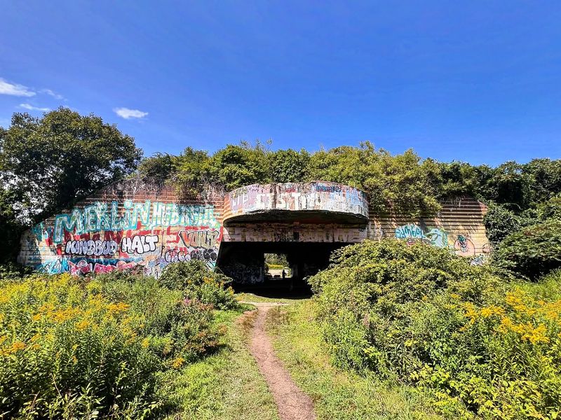 Explore Battery Steele