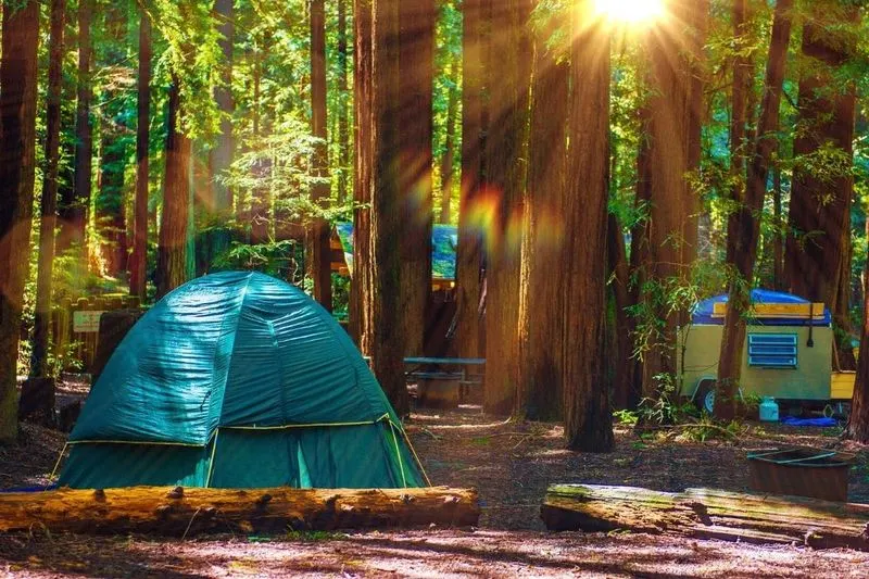 Wilderness Camping