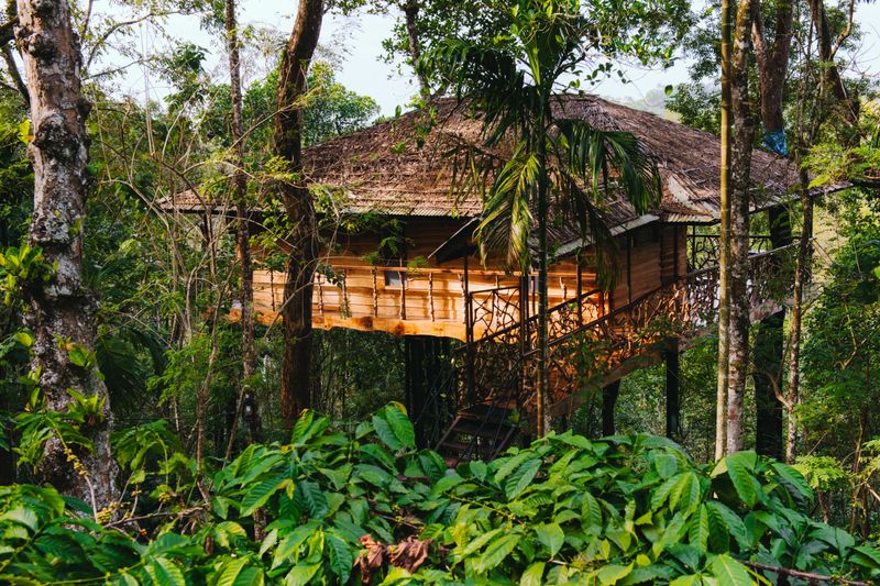 Tranquil Resort Treehouse