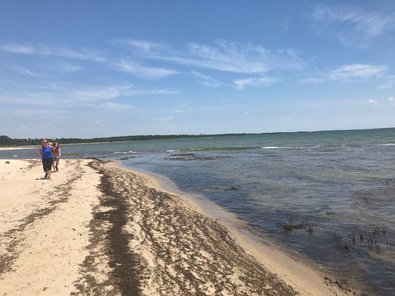 Hughlett Point Natural Area Preserve, Virginia