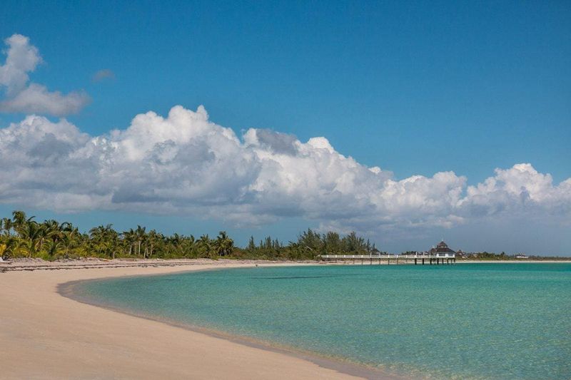 Perfect for a Digital Detox