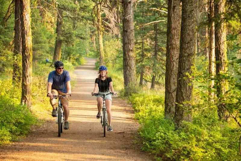 Mountain Biking Through the Pines