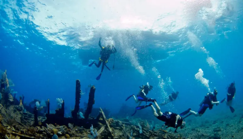 Shipwrecks That Whisper of the Past