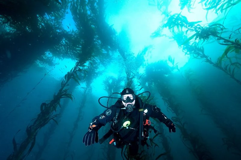 Channel Islands, California