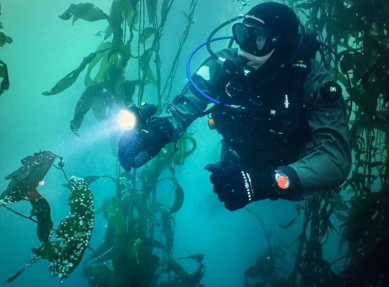 Monterey Bay, California