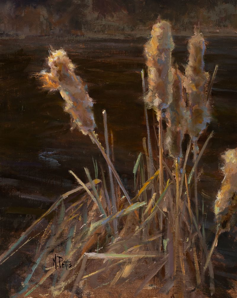 Wetland Plants Filtering the Waters