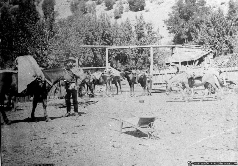 Sawyers Bar, California