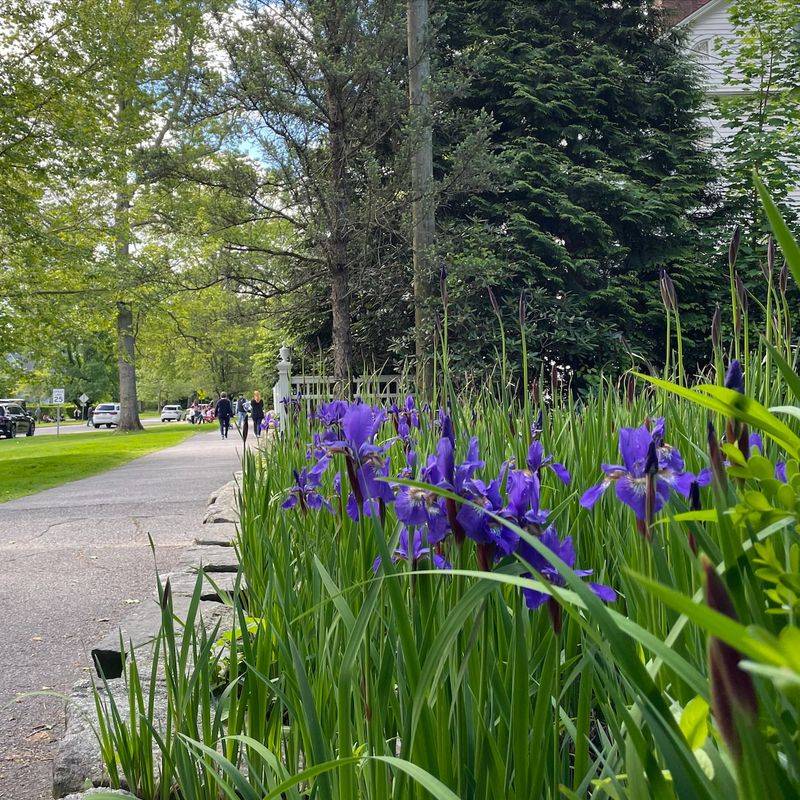 The Litchfield Greenway, Connecticut