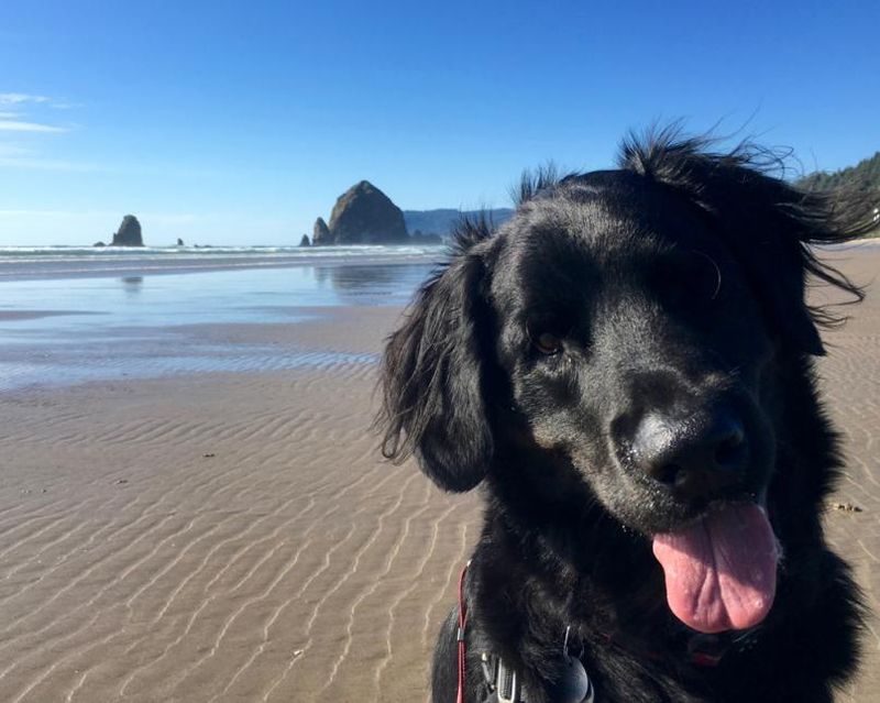 Cannon Beach – Oregon