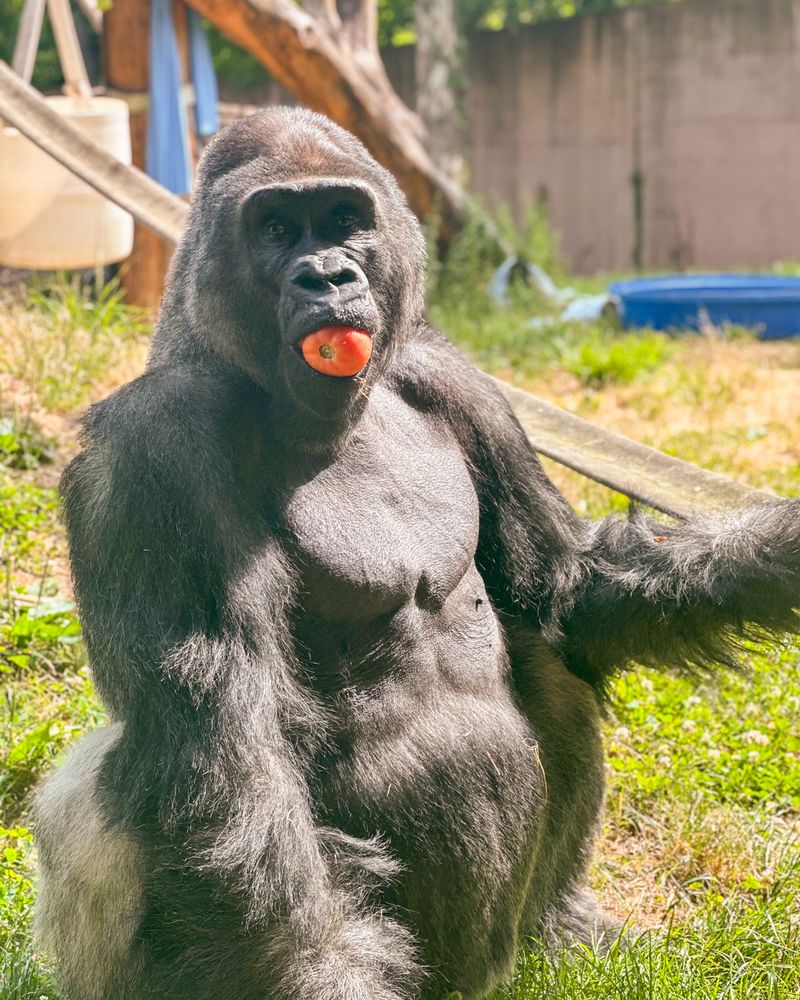Philadelphia Zoo