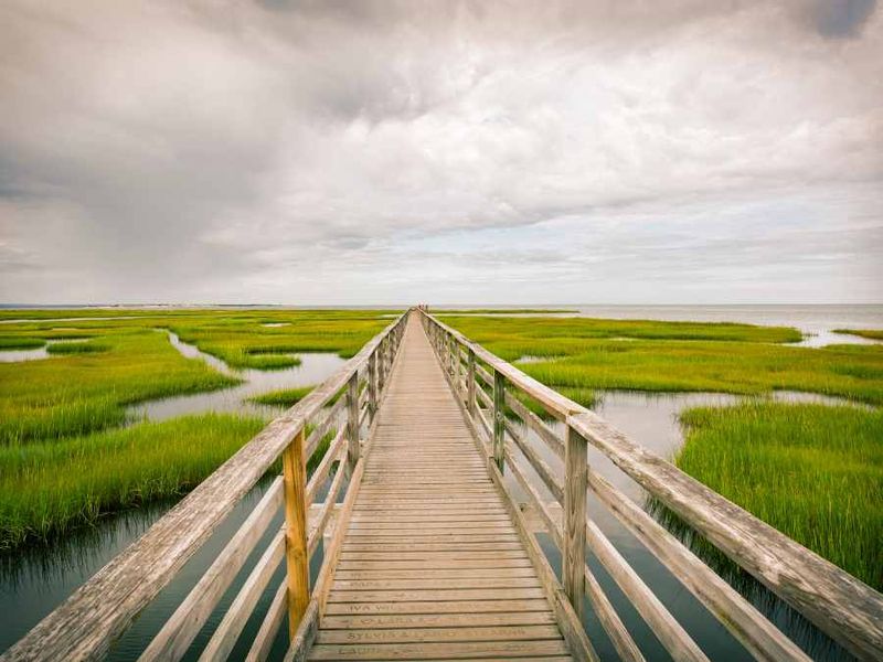 Lowcountry Marshes