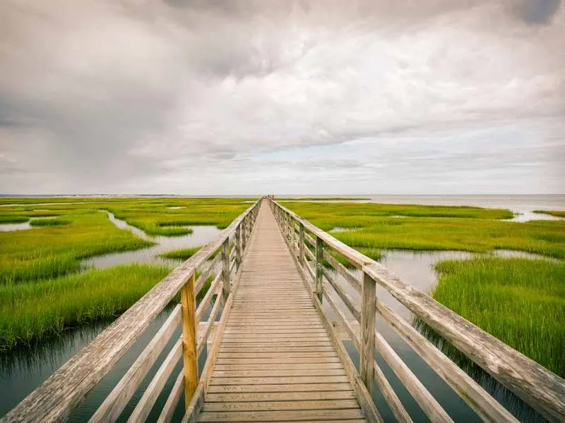 Lowcountry Marshes