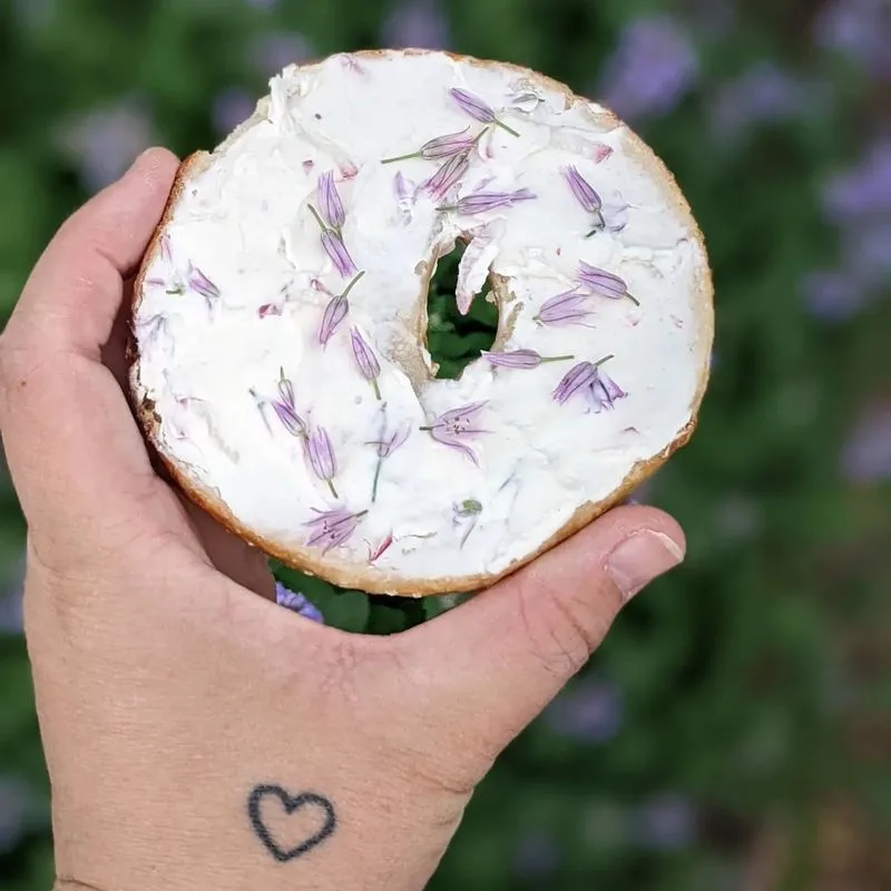 Chive Blossoms in Cream Cheese Blends