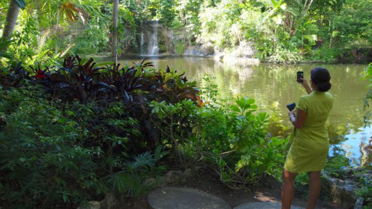 From Beaches to Nature Parks – 13 Family Adventures in Freeport, Bahamas