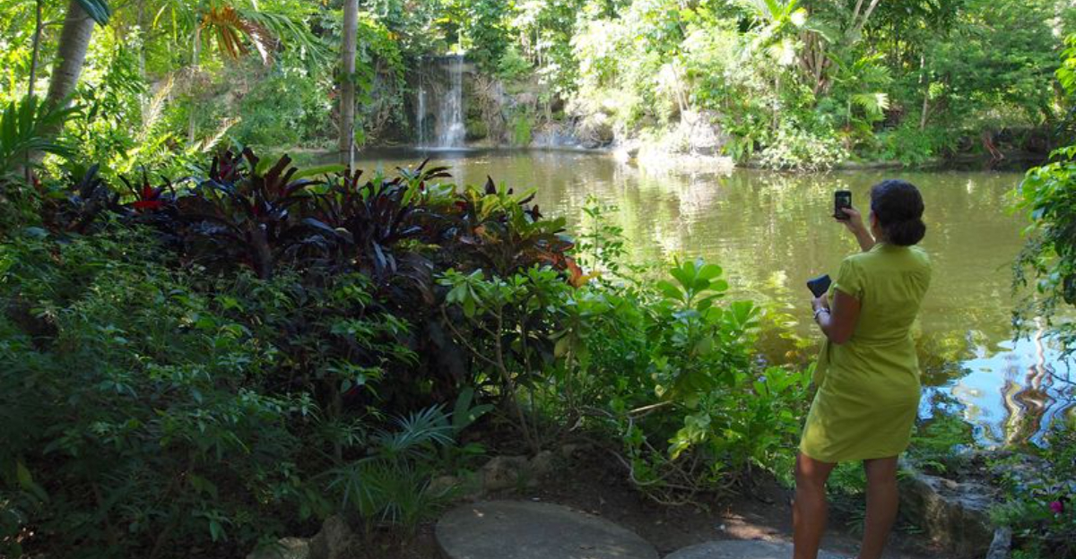 From Beaches to Nature Parks – 13 Family Adventures in Freeport, Bahamas