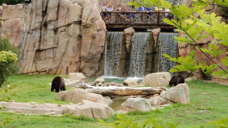 From Toddlers to Teens: 20 U.S. Zoos Families Love Visiting