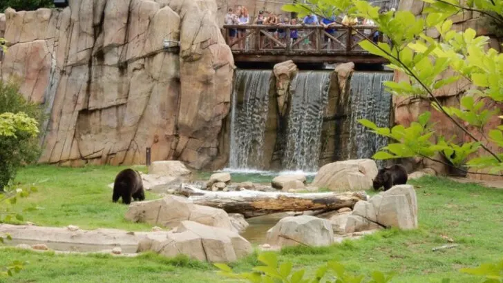 From Toddlers to Teens: 20 U.S. Zoos Families Love Visiting