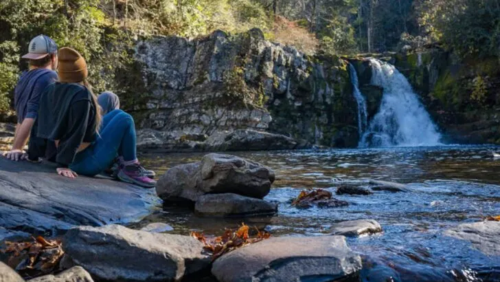From Waterfalls to Wildlife: 14 Smoky Mountains Experiences the Whole Family Will Love