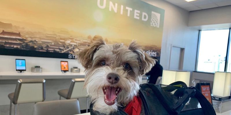 United Airlines
