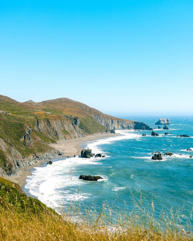 Bodega Head Trail – Sonoma Coast, California