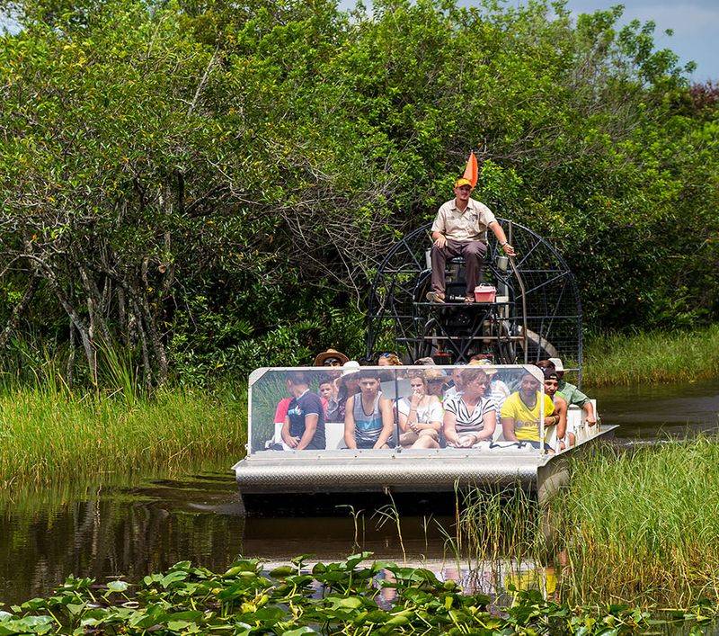 Swamp Buggy Adventures (Lafayette)