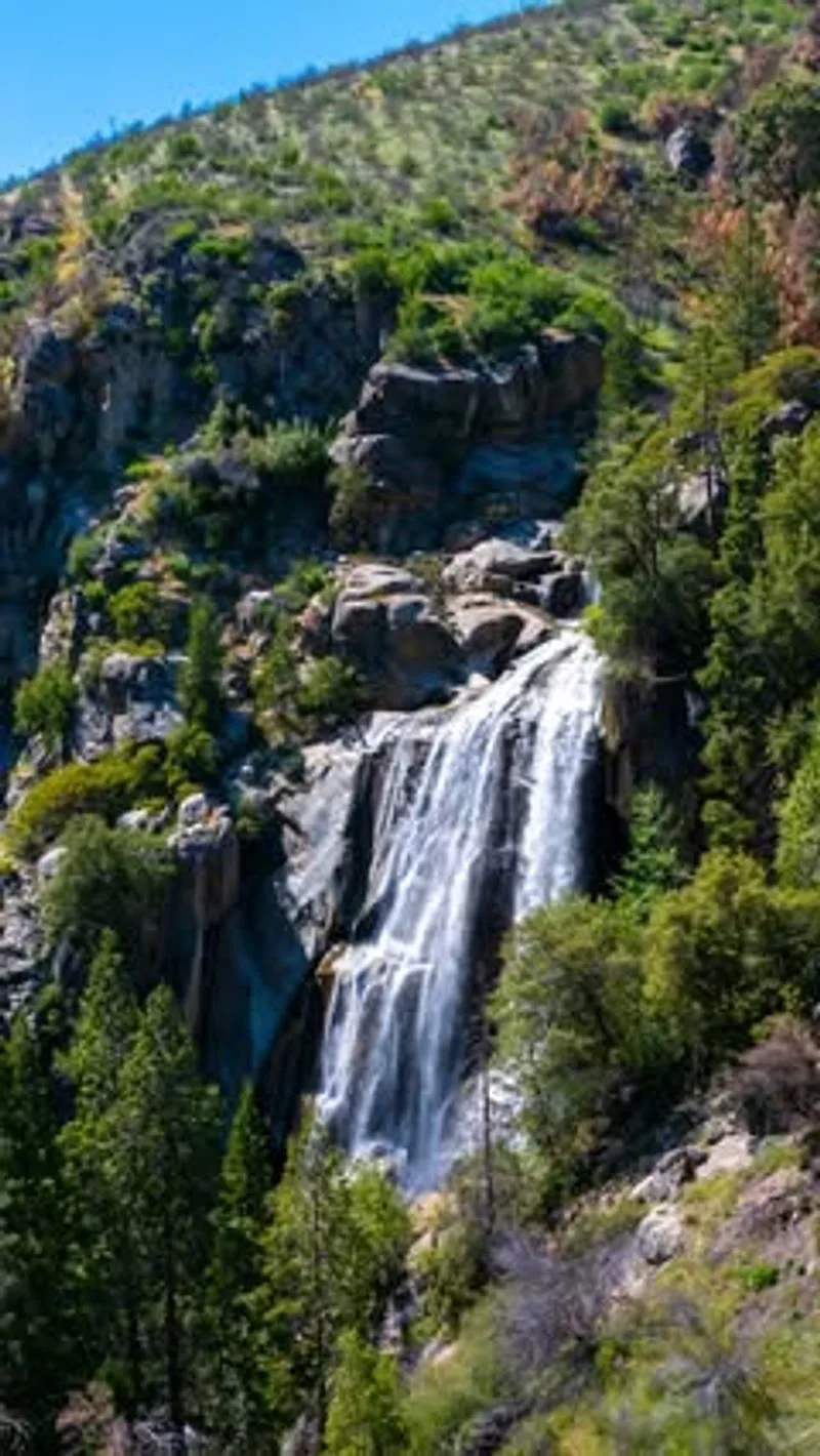 The Scenic Byway