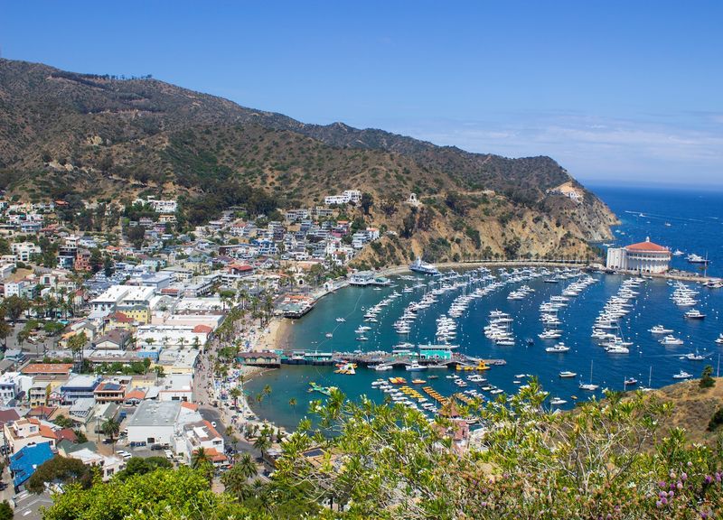 Avalon: The Island’s One-and-Only Town